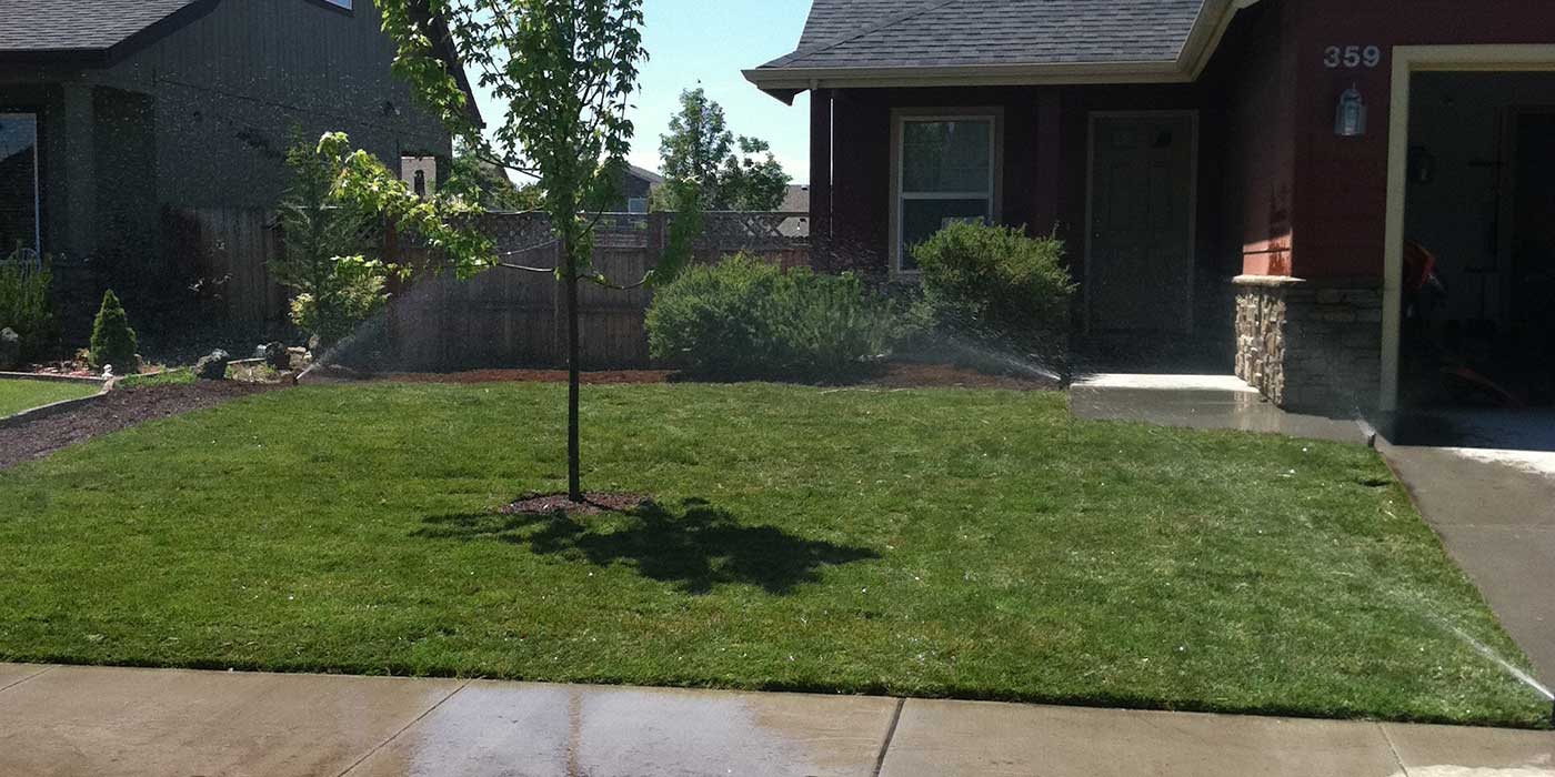 Garden irrigation water jet sprinkler in action