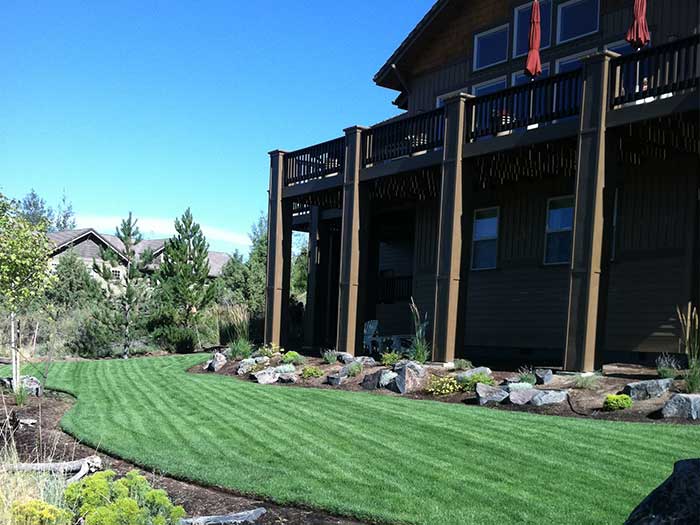 Lawn maintenance mowing green grass