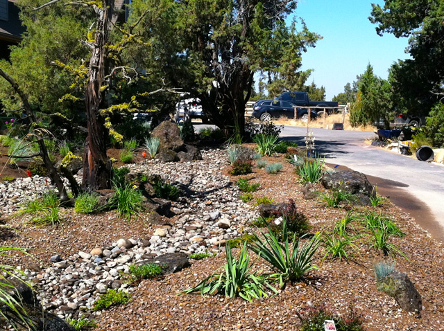 New construction landscape