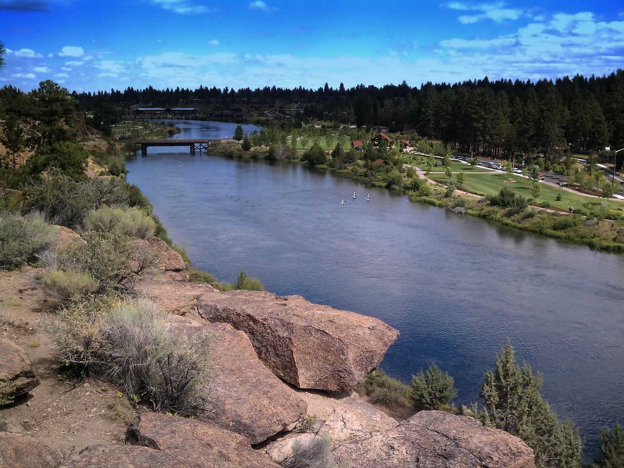 Trail and earthwork through Central Oregon forest