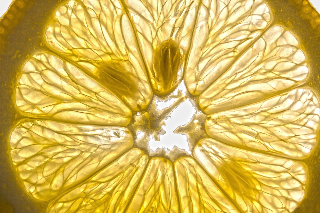 Bright, fresh lemons sliced open — ingredients full of flavor and vitality